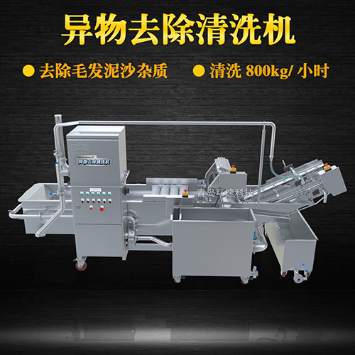 全自動果蔬清洗機，清洗800kg小時，全自動果蔬清洗機