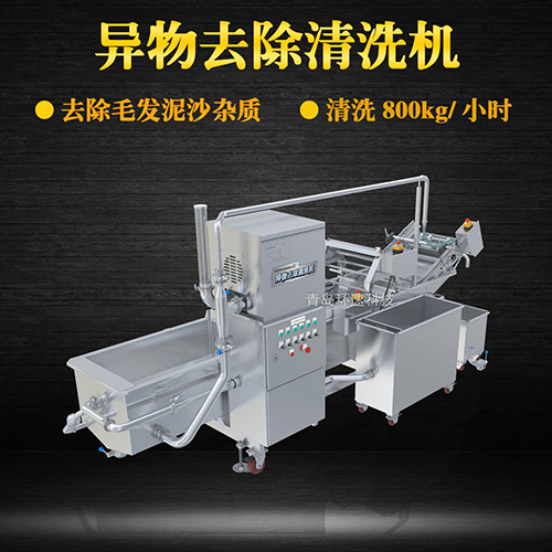 果蔬自動氣泡清洗機，清洗800kg小時，果蔬自動氣泡清洗機