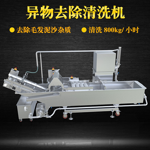 毛輥果蔬清洗機(jī)，氣泡清洗，清洗800kg小時