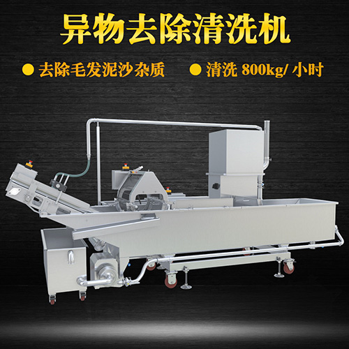 大型果蔬清洗機(jī)，氣泡清洗，清洗800kg小時