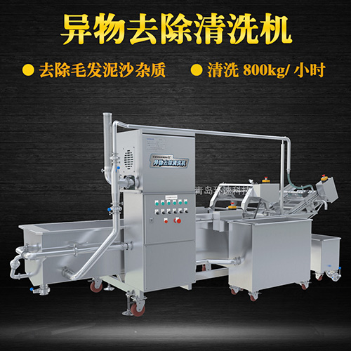 大型果蔬清洗機(jī)，氣泡清洗，清洗800kg小時