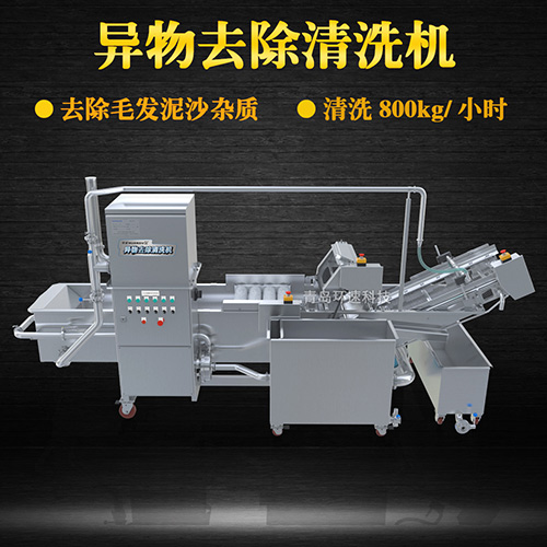 蔬菜自動化清洗設備，氣泡清洗，清洗800kg小時