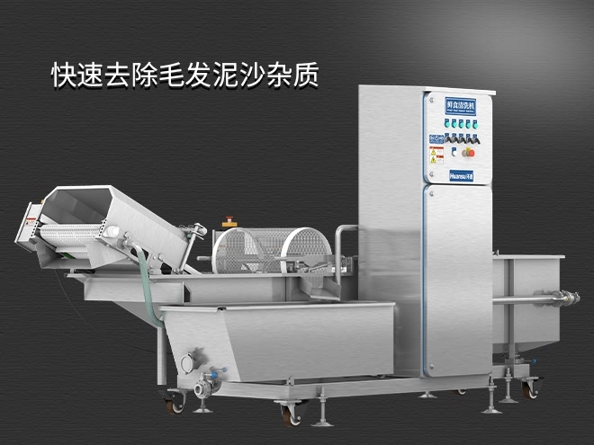 果蔬清洗機(jī)制造廠家，氣泡清洗，清洗800kg/小時(shí)